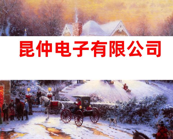 昆仲电子有限公司